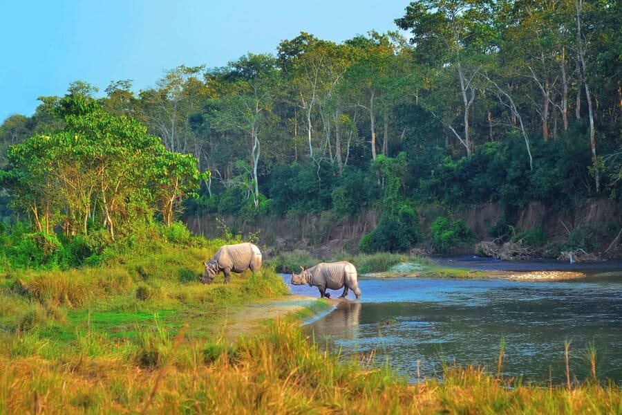 Chitwan National Park - Địa điểm du lịch Nepal