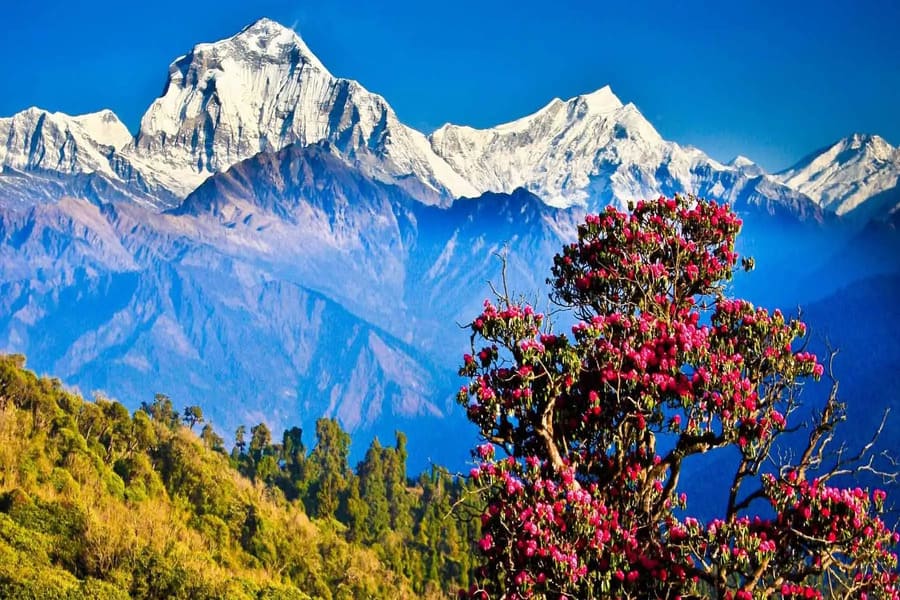 Thời điểm lý tưởng để đi du lịch Nepal