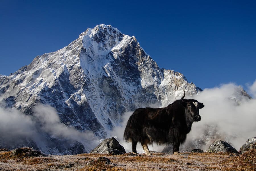 Vườn Quốc Gia Sagarmatha - Khám Phá Di Sản Thiên Nhiên Tại Nepal